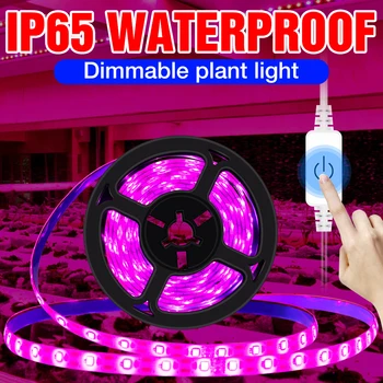5V viso Spektro LED Šviesos Juostelės Pritemdomi USB Fito Lempos Augalams Šiltnamio efektą sukeliančių Augalų Augimą, Šviesa Hydroponics Gėlės Auga Lange